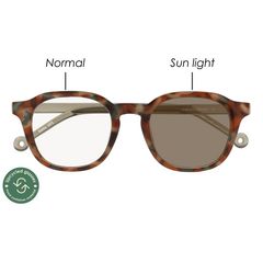 Darby Photochromic 